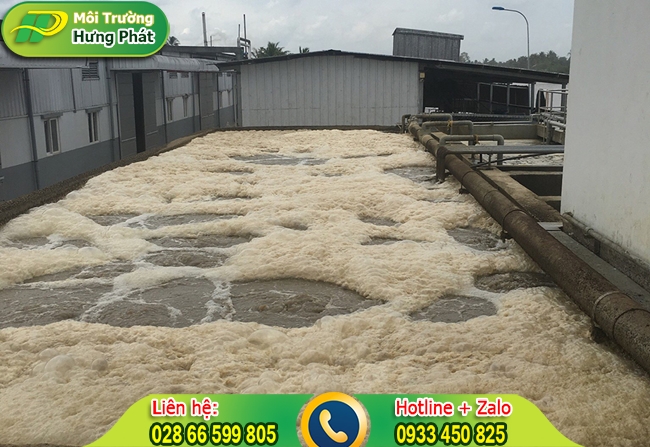 Bùn vi sinh hiếu khí và các sự cố thường gặp khi nuôi cấy