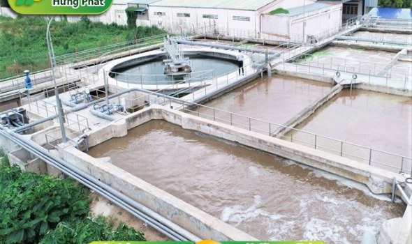 Hướng dẫn nuôi bùn vi sinh đạt hiệu quả và thành công lên đến 99%