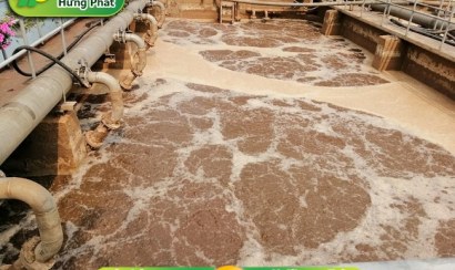Sự cố bùn vi sinh dễ mắc phải