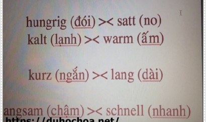 Cần chuẩn bị những thứ gì để đi du học Đức
