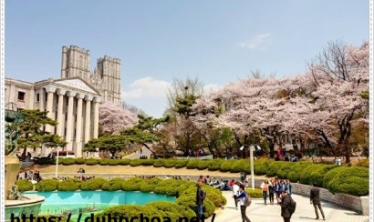 Điều gì làm du học Hàn Quốc 2021 trở nên hấp dẫn?