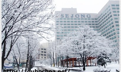 Nên lựa chọn học tiếng Hàn hay tiếng Anh