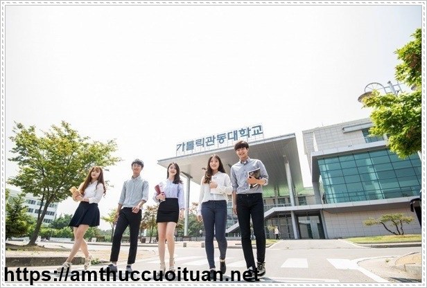 Du học H&agrave;n Quốc l&agrave; nơi l&yacute; tưởng để học v&agrave; l&agrave;m việc