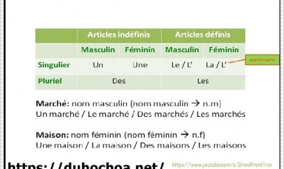 Cách học tiếng Pháp cho người chưa biết gì