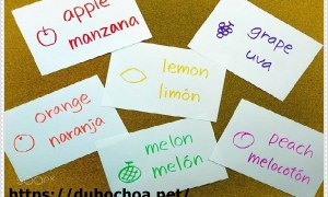 Bảng Chữ Cái Và Cách Phát Âm Trong Tiếng Tây Ban Nha