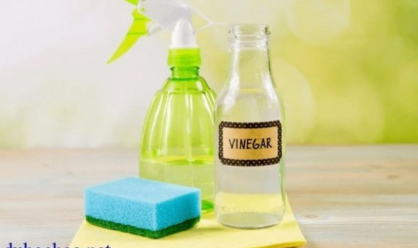 Top 4 loại nước tẩy bồn cầu được ưa chuộng nhất