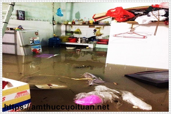 nên thông cống nghẹt nếu không hậu quả là rất khó lường