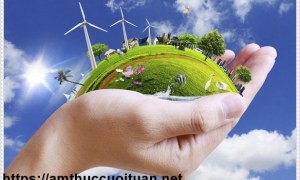 Tái chế giúp bảo vệ môi trường thế nào?