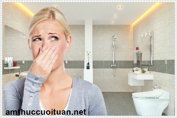 bột tự huỷ hầm cầu mang lại lợi &iacute;ch g&igrave;