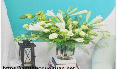 Cách khử mùi hôi trong phòng kín