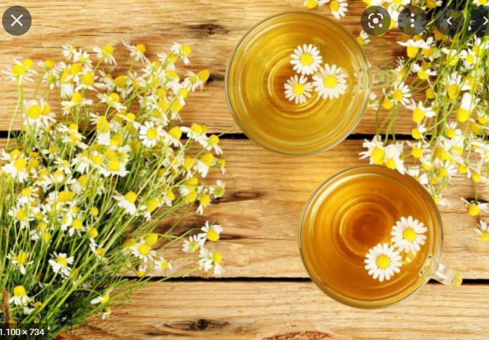 Chữa vi&ecirc;m họng bằng c&aacute;c loại tr&agrave; thảo mộc